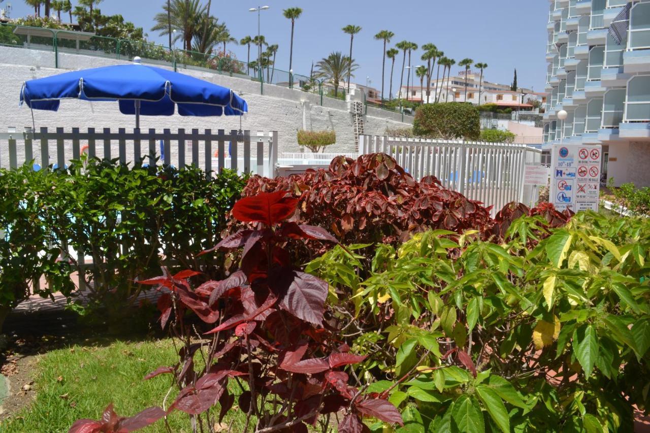 Red Loft Deluxe - Vivienda Vacacional A Playa Del Ingles Daire Dış mekan fotoğraf