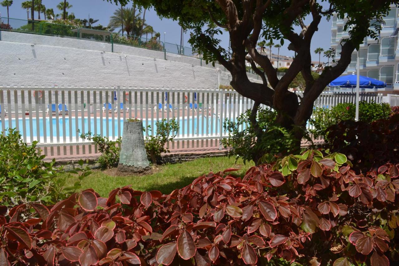 Red Loft Deluxe - Vivienda Vacacional A Playa Del Ingles Daire Dış mekan fotoğraf